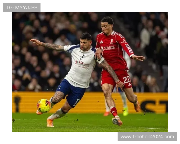 罗梅罗：米尔言辞激怒希拉利必有缘由